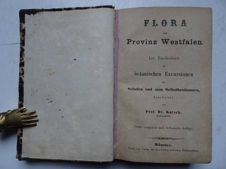 Karsch, Prof. Dr.. - Flora der Provinz Westfalen. Ein Taschbuch zu botanischen Excursionen fr Schulen und zum Selbstbestimmen.