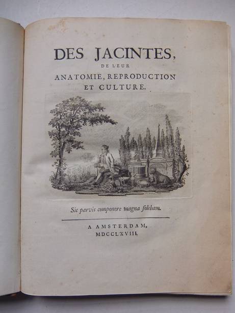 (Marquis de Saint Simon, M.H.). - Des Jacintes, de leur anatomie, reproduction et culture.