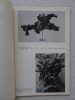 Hammacher  van den Brande, R., et al.